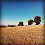 Planalto Mirandês - Oriolus Ecotours