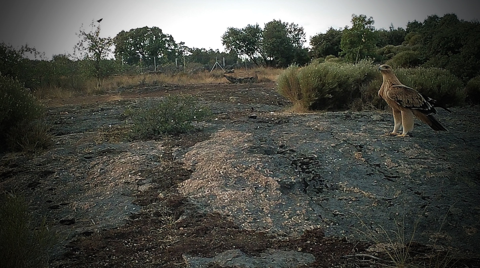 Blog List Featured Image